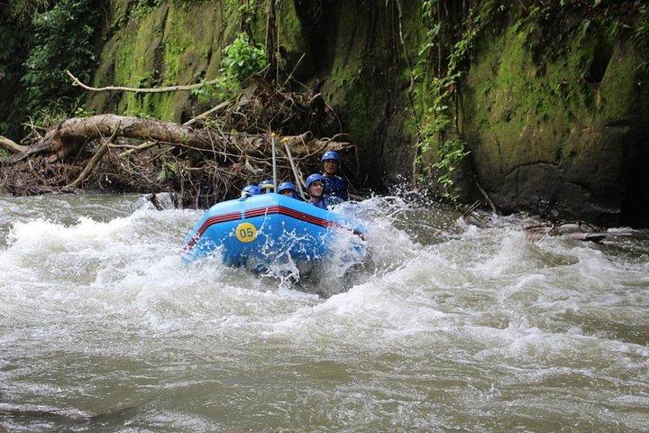 Bali Rafting en el río Ayung Ubud - (Privado y todo incluido)
