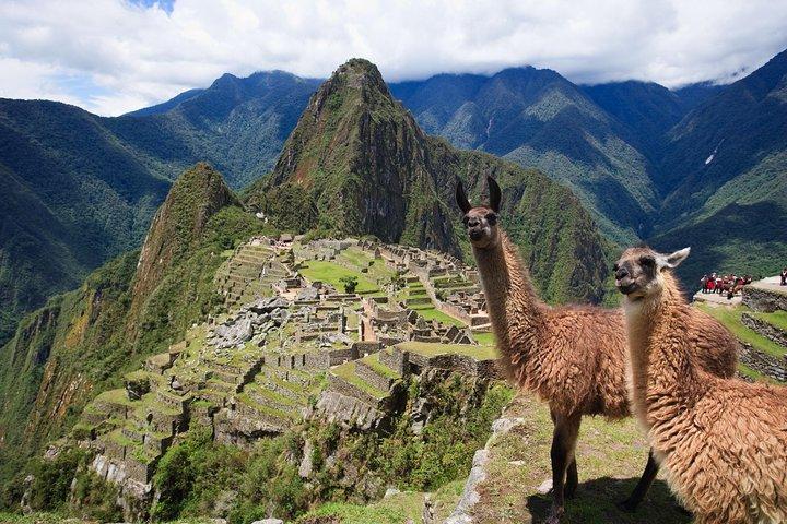 2 - Journée Visite Privée Vallée Sacrée et Citadelle du Machu Picchu Niveau Supérieur