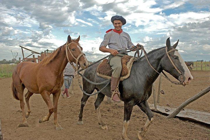 Excursão privada a San Antonio de Areco: cidade gaúcha e estância de Buenos Aires