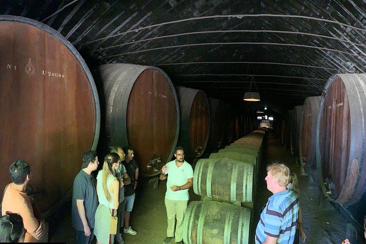 Setúbal Wine Tour with Visit and Tasting at 2 Wineries