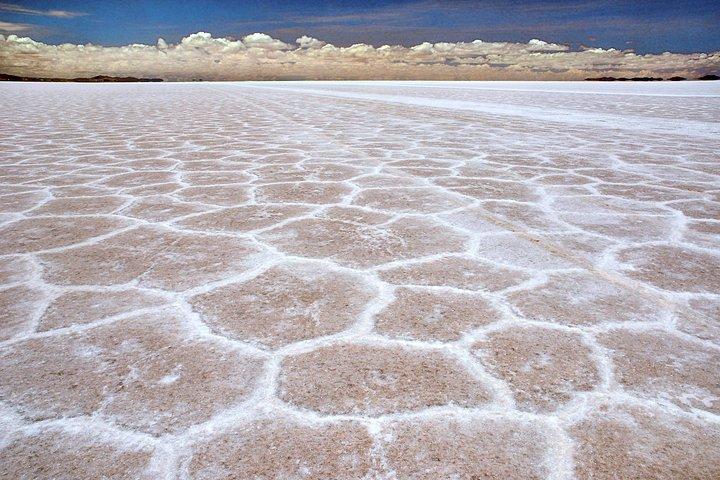 Excursão privada em um dia inteiro em salinas, incluindo o cemitério de trens e almoço em Uyuni