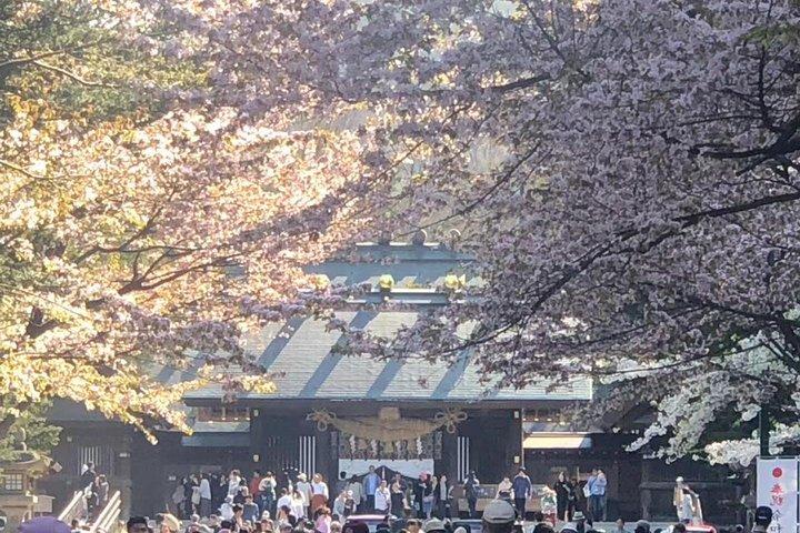 【札幌】プライベートカーで行く！滝野霊園、北海道神宮、白い恋人パーク