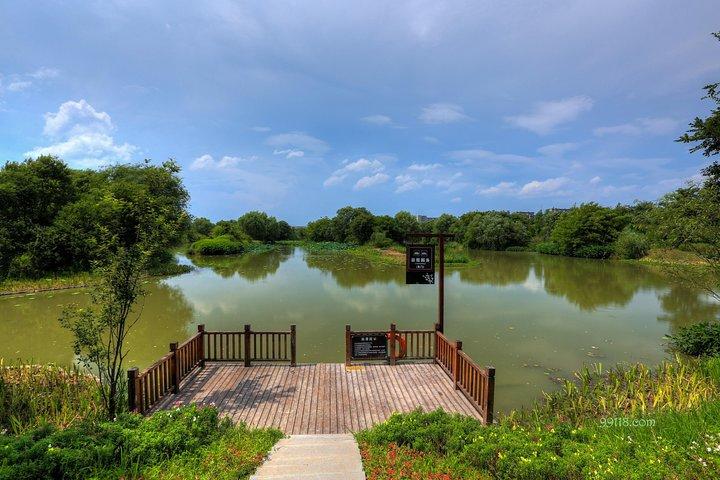 Hangzhou privat økologisk dagstur inklusive Xixi National Wetland Park