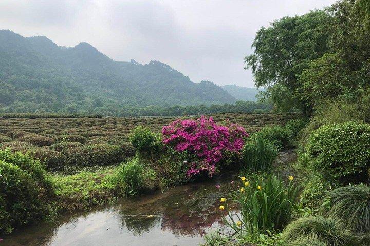 Hangzhou privat økologisk dagstur inklusive Xixi National Wetland Park