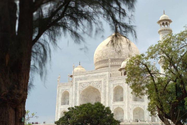 Sonnenaufgangstour durch Taj Mahal mit Guide