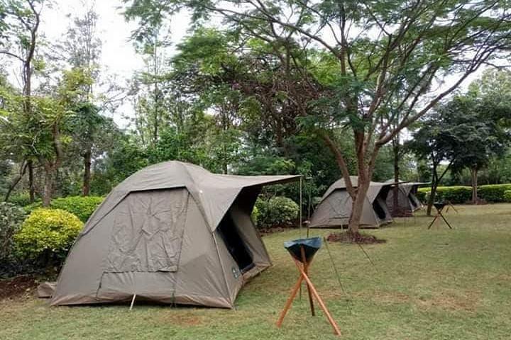 Hoteller i nærheden af Tarangire, Serengeti, Ngorongoro & Manyara