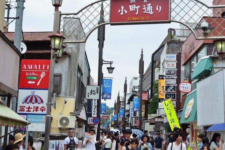 Kamakura & Enoshima dagstur fra Tokyo med engelsk talende driver