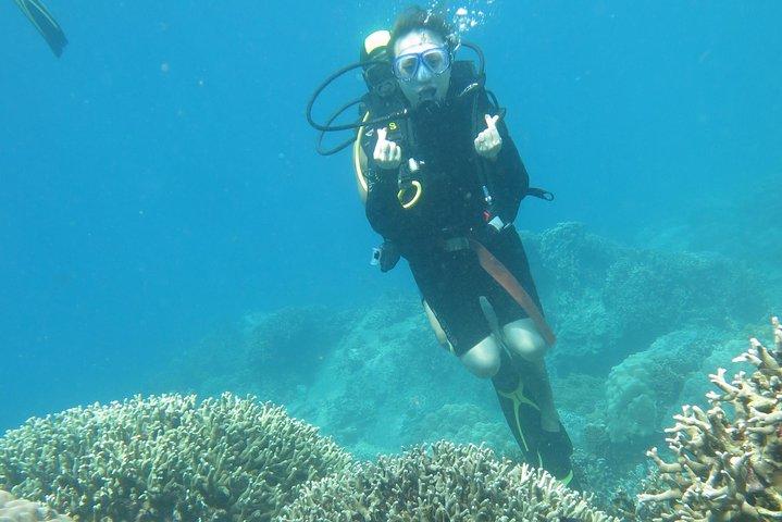スキューバ ダイビング ツアーでニャチャン湾を発見