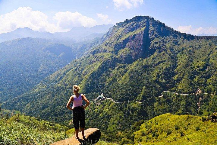 Explore Ella: Sightseeing & Adventure Tour with Return Transfers