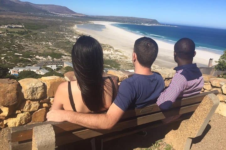 Cape Town Private Tour: Cape of Good hope & Boulders Penguins