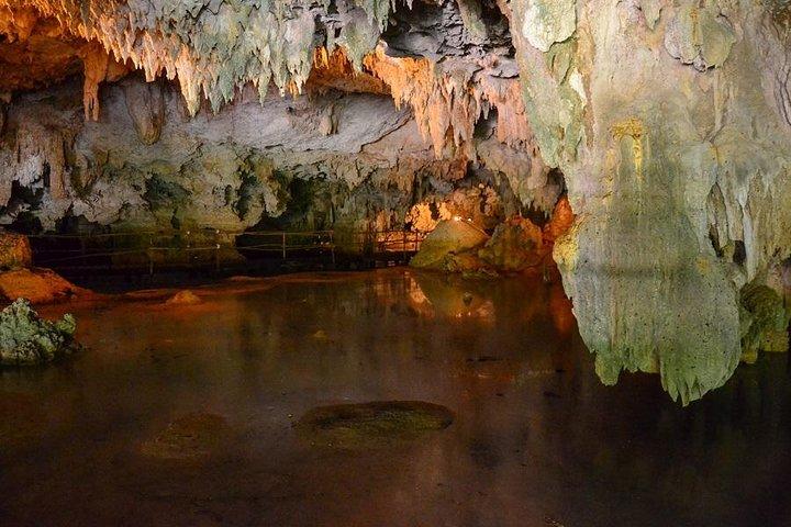 Schildkröten und Cenote von Riviera Maya