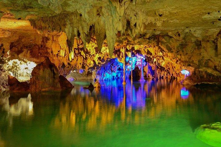 Tortugas y Cenote de Riviera Maya