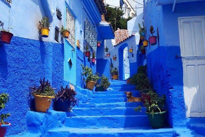 Fes till Chefchaouen dagstur