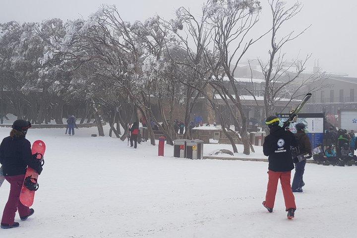 Excursion d’une journée au Mount Buller au départ de Melbourne