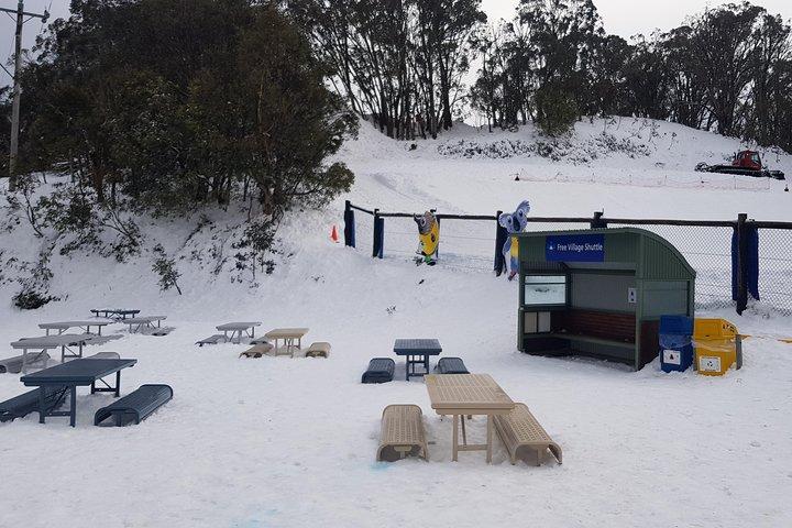 Excursion d’une journée au Mount Buller au départ de Melbourne