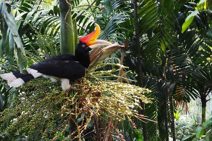Kuala Lumpur Bird Park With Return Transfers
