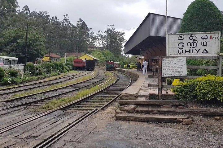 Ella : Guided Devils Staircase Trekking Tour（ランチ付き）