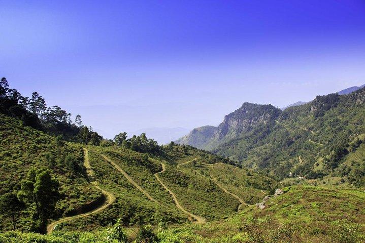 Ella : Guided Devils Staircase Trekking Tour（ランチ付き）