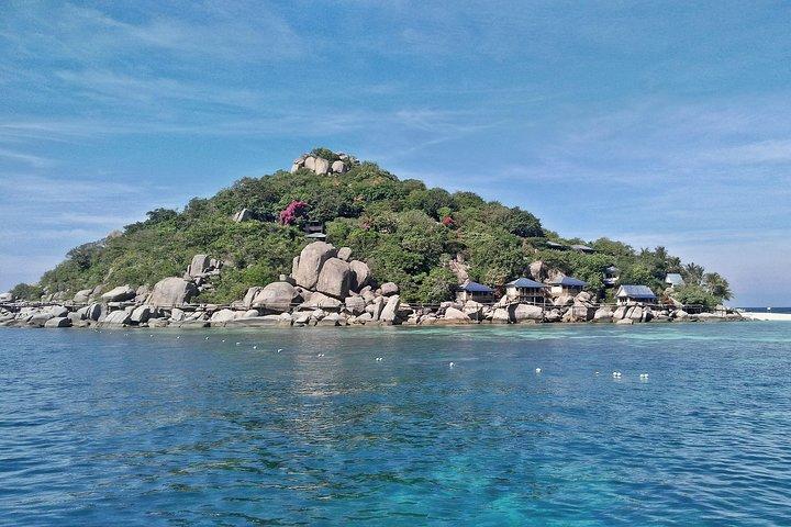 Vanaf Koh Samui : Koh Tao & Koh Nang Yuan Snorkelen (per Speedboot)