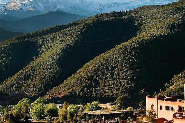 Atlas Mountains Ourika Valley Private day trip from Marrakesh