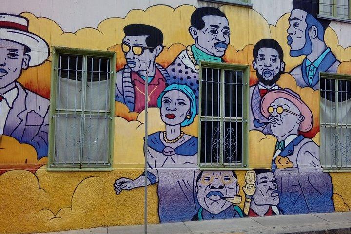 Tour in Valparaiso: Street Art, funiculars and port