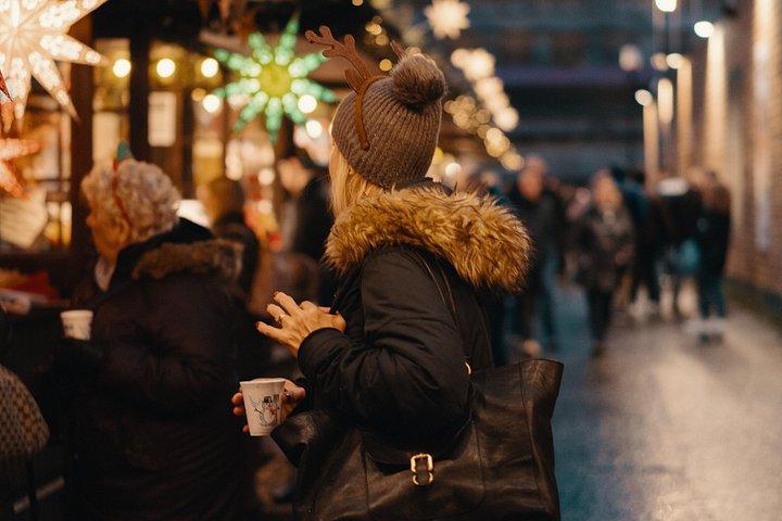 クリスマス プライベート デイトリップ - ウィーンからブダペストまで往復、英語を話すドライバー