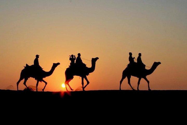 Sunset Camel Ride in the AGAFAY DESERT trip from Marrakech