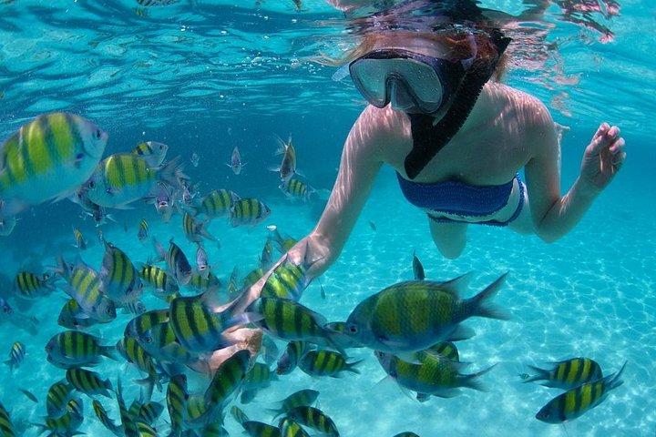 Cabo San Lucas kort snorkling tur med Divemaster Guide