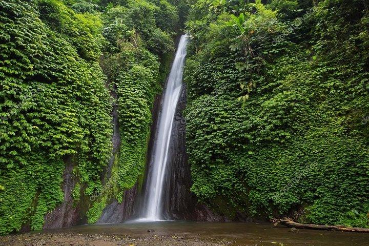 Exploring Munduk Village (Waterfalls, rice terrace, Traditional local house)