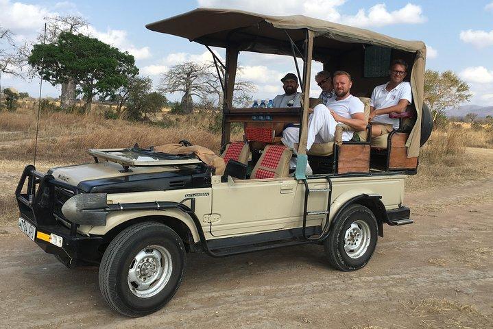 Dagtocht van Zanzibar naar Mikumi