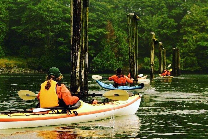 Tour del porto di Ucluelet