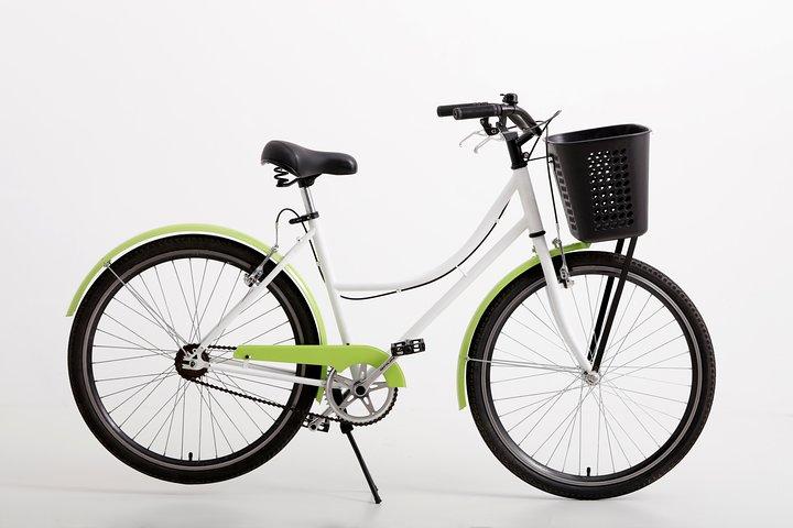 Aluguel de bicicletas de dia inteiro em Buenos Aires