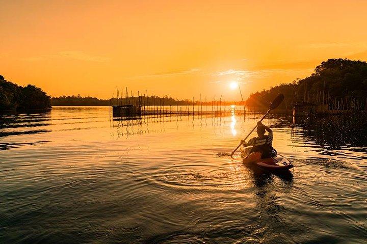Madu River Sunrise Mangrovepaddling