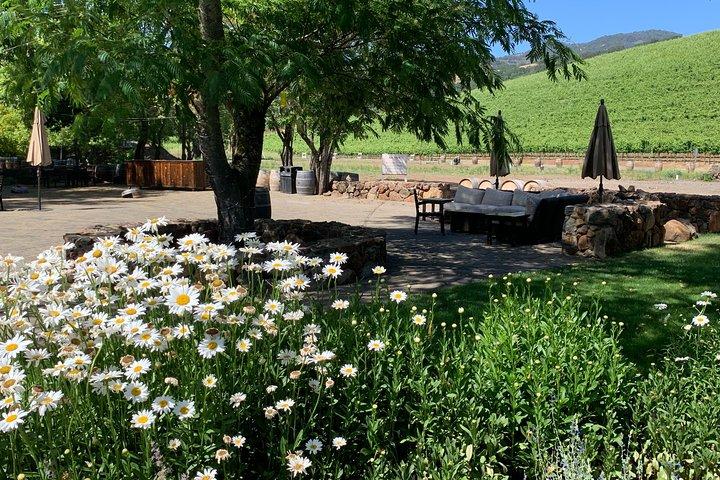 Napa & Sonoma wijntour | 6-8 uur durende privétour, volledig op maat gemaakt.*XL SUV