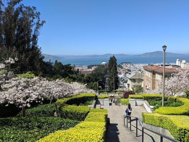 San Francisco Private City Tour