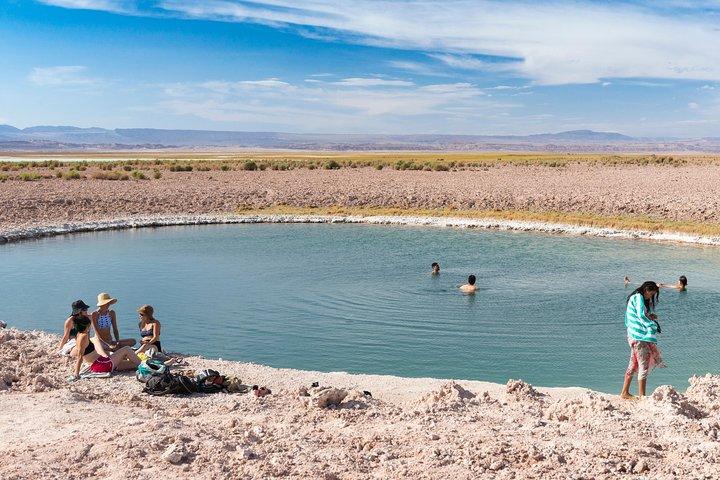 Lagune a Atacama Salt Flat - Mezza giornata - Tour tipico - San Pedro de Atacama