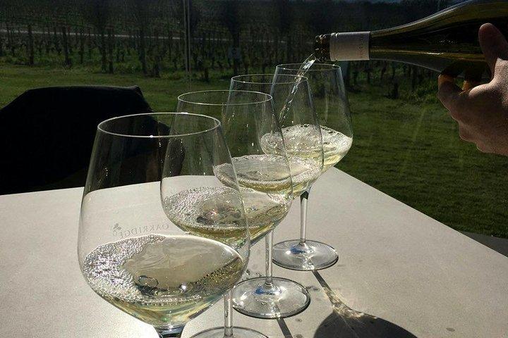 Visite privée, de luxe et de vins de la vallée de Yarra
