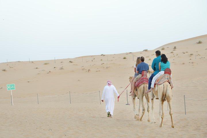 Abu Dhabi Safari Nuit au Désert