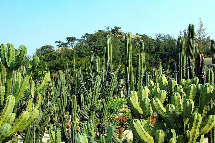 Flexible private Halbtagestour nach Xiamen, um den Botanischen Garten von Xiamen zu erleben