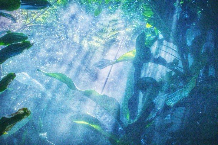Flexible private Halbtagestour nach Xiamen, um den Botanischen Garten von Xiamen zu erleben