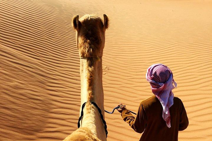 Safari dans le désert au lever du soleil au départ d'Abou Dabi