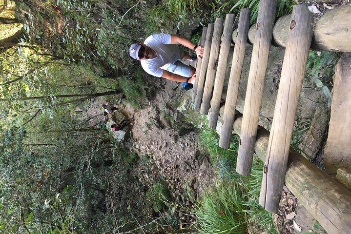 Table Mountain Hike (All routes) - Private Tour