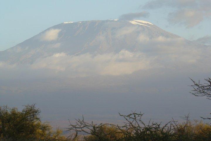 Excursion d'une journée au parc national d'Amboseli