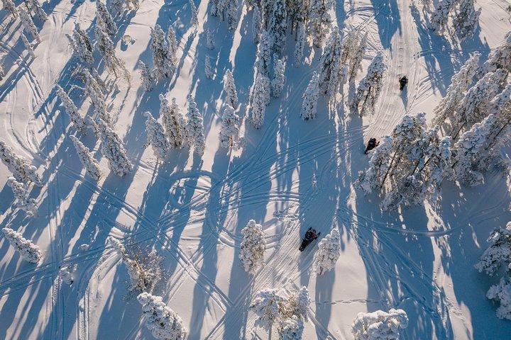 1-Hour Snowmobile Safari Experience