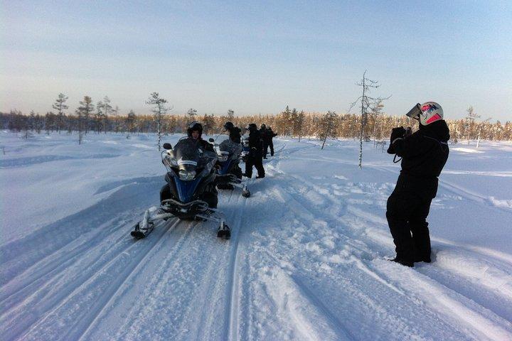 1-Hour Snowmobile Safari Experience