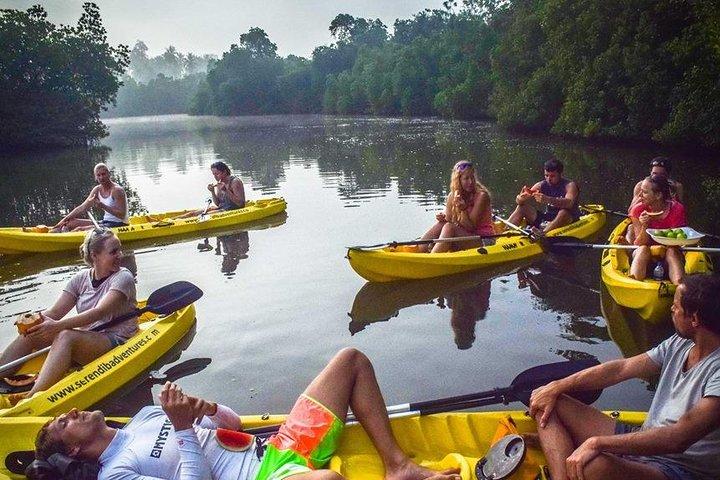 Madu River Sunrise Mangrove Kayaking da Bentota