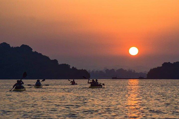 Madu River Sunrise Mangrove Kayaking da Bentota