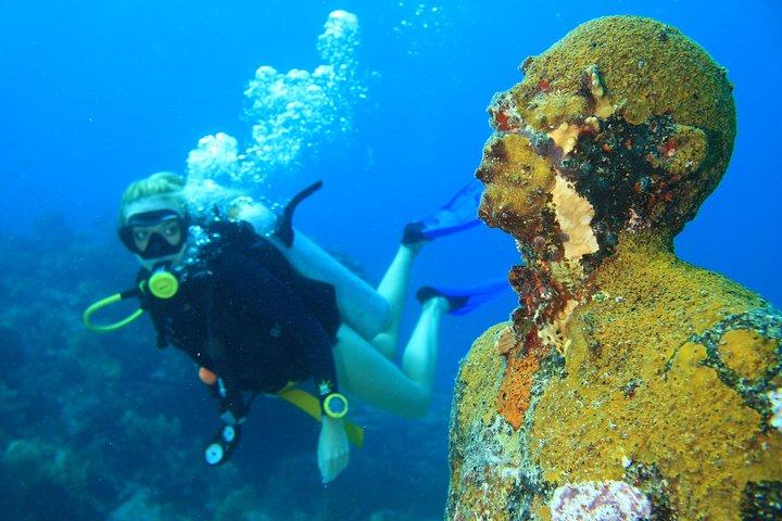 認定ダイバー向けに、アンダーウォーターミュージアムとマンコーンズリーフを体験