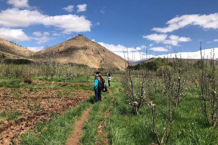 M'Goun Peak Ascent Trek- 6 giorni
