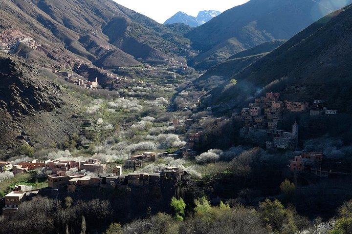 M'Goun Peak Ascent Trek - 6 dagen